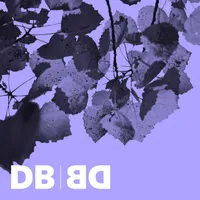 The Design Of Business | The Business of Design artwork