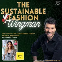 The Sustainable Fashion Wingman artwork