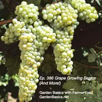 Garden Basics with Farmer Fred artwork