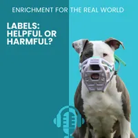 Enrichment for the Real World artwork