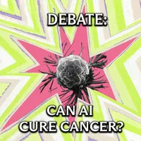 The Argument artwork