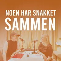Noen har snakket sammen artwork