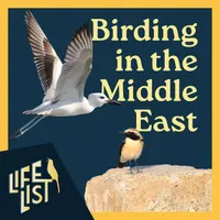 Life List: A Birding Podcast artwork