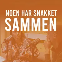 Noen har snakket sammen artwork