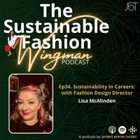 The Sustainable Fashion Wingman artwork