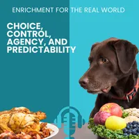 Enrichment for the Real World artwork