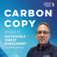 Carbon Copy artwork
