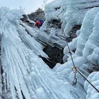 The Climbing Majority artwork