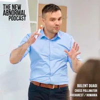 The New Abnormal artwork