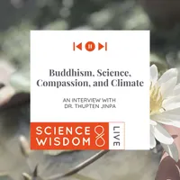 Science & Wisdom LIVE artwork