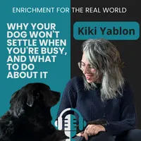 Enrichment for the Real World artwork