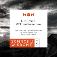 Science & Wisdom LIVE artwork
