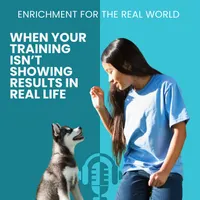 Enrichment for the Real World artwork