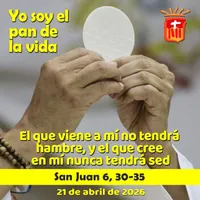 Evangelio del día artwork