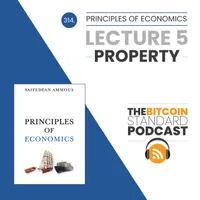 The Bitcoin Standard Podcast artwork