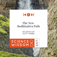 Science & Wisdom LIVE artwork