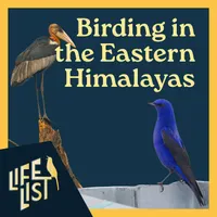 Life List: A Birding Podcast artwork