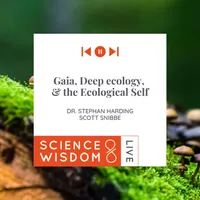 Science & Wisdom LIVE artwork