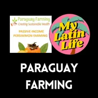 My Latin Life Podcast artwork