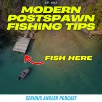 Serious Angler Bass Fishing Podcast artwork