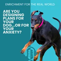Enrichment for the Real World artwork