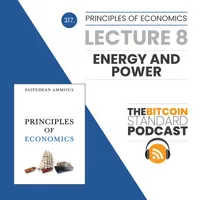 The Bitcoin Standard Podcast artwork