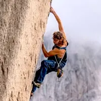 The Climbing Majority artwork