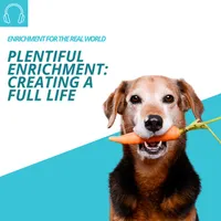 Enrichment for the Real World artwork