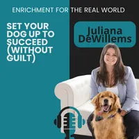 Enrichment for the Real World artwork