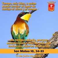Evangelio del día artwork