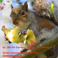 Garden Basics with Farmer Fred artwork