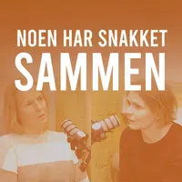 Noen har snakket sammen artwork