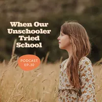 The Life Without School Podcast artwork