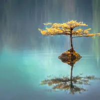 The Tao Te Ching for Everyday Living artwork