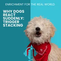 Enrichment for the Real World artwork