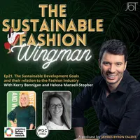 The Sustainable Fashion Wingman artwork
