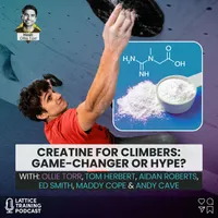 Lattice Training Podcast artwork
