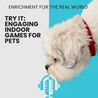 Enrichment for the Real World artwork