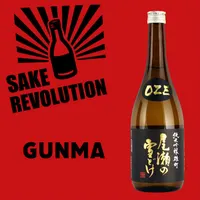 Sake Revolution artwork