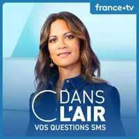 C dans l'air artwork