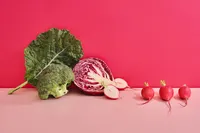Rethinking Wellness artwork