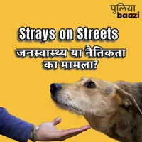 Puliyabaazi Hindi Podcast पुलियाबाज़ी हिन्दी पॉडकास्ट artwork