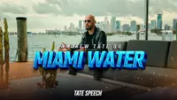 TateTV artwork