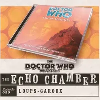 The Doctor Who Podcast artwork