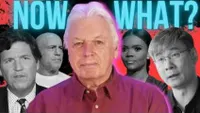 David Icke artwork