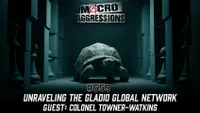 Macroaggressions artwork