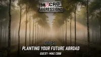 Macroaggressions artwork