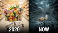 Adapt 2030 artwork
