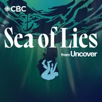 The Expert Witness from Uncover artwork