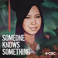 Someone Knows Something artwork